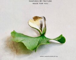 Ginkgo Biloba - Zilveren ring met 24 krt goud. Een elegant vormgegeven ring, met uiterste zorg en liefde voor de natuur. Het prachtige blad van deze geneeskrachtige boom, gevat in zilver. De fijnheid zowel als de kracht. De ring straalt al deze kwaliteiten uit.